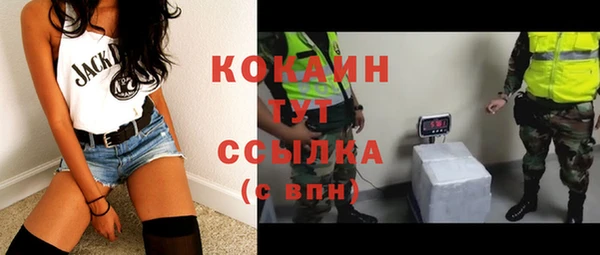 спайс Арсеньев