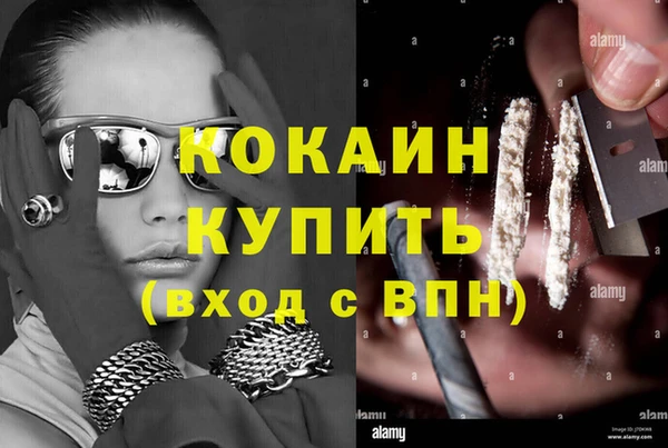 спайс Арсеньев
