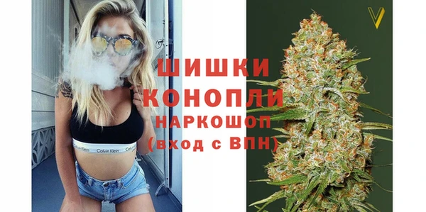 спайс Арсеньев
