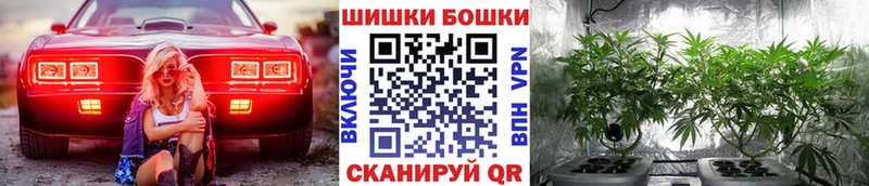 магазин    Асино  Конопля Ganja 